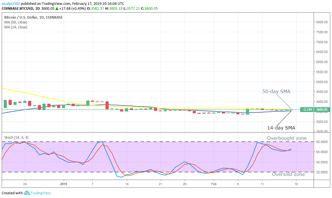 Bitcoin (BTC) Long Term Price Forecast- February 16